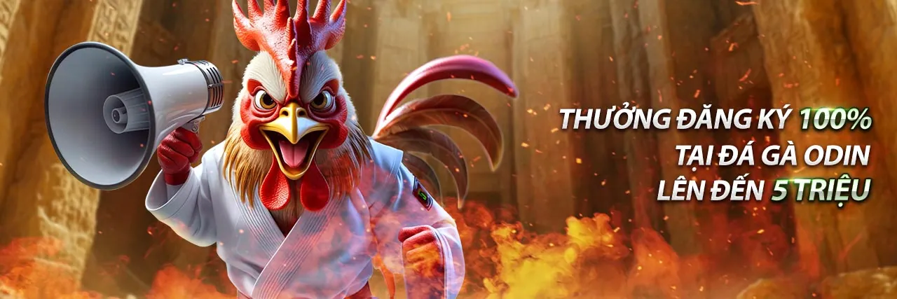 Hình ảnh chính Win55 US Casino 2026