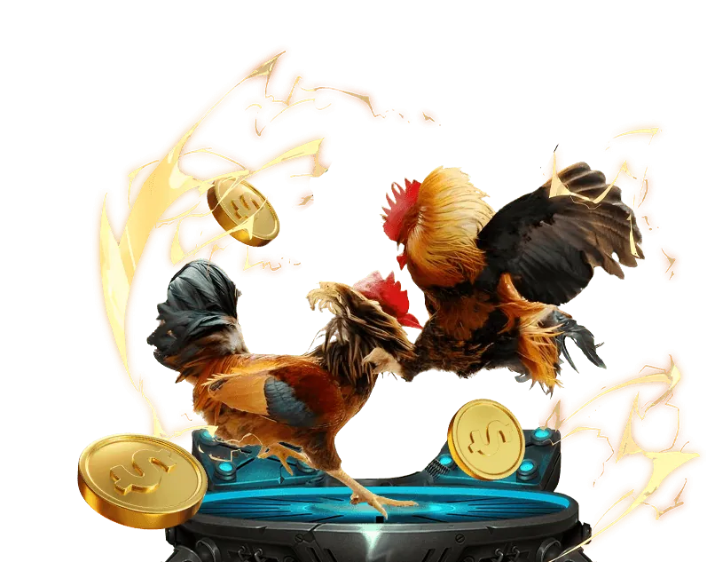 Tổng quan nền tảng Win55 US Casino